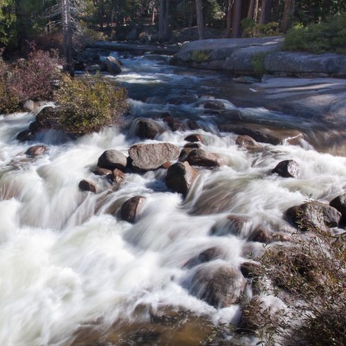 Snow Creek Trail