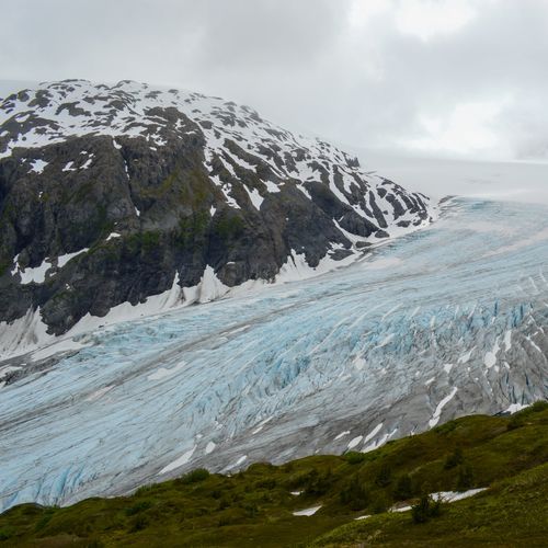 Kenai Fjords