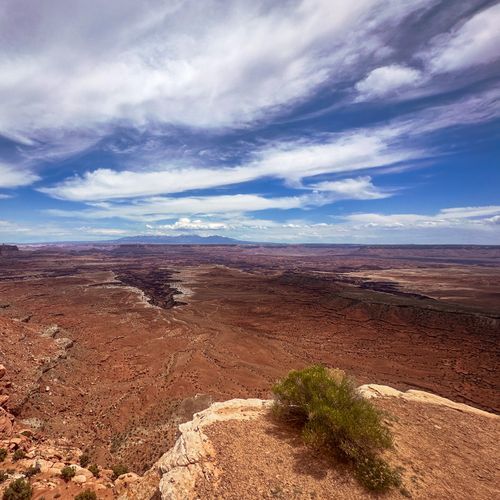 Buck Canyon Overlook
