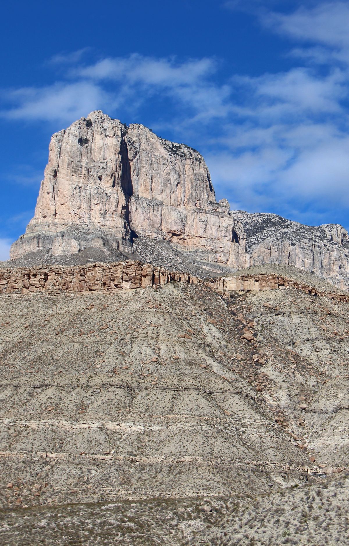 Reading the World's Largest Permian Fossil Reef, Guadalupe Mountains National Park