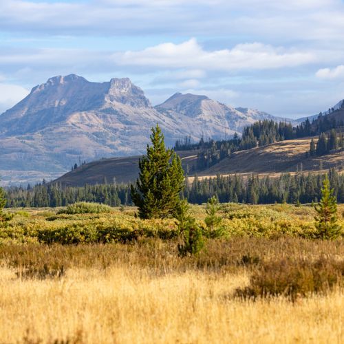 Turbid Lake Trail