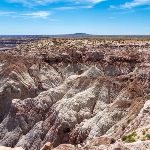 Blue Mesa Viewpoint