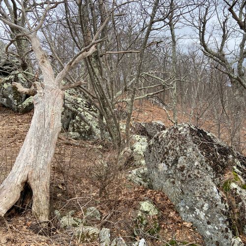 Little Devils Stairs Overlook
