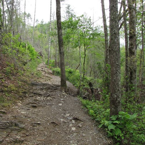 Crooked Arm Ridge Trail