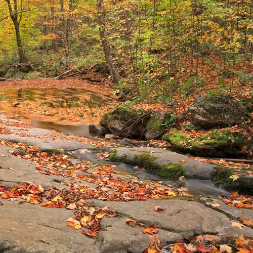 Dark Hollow Trail