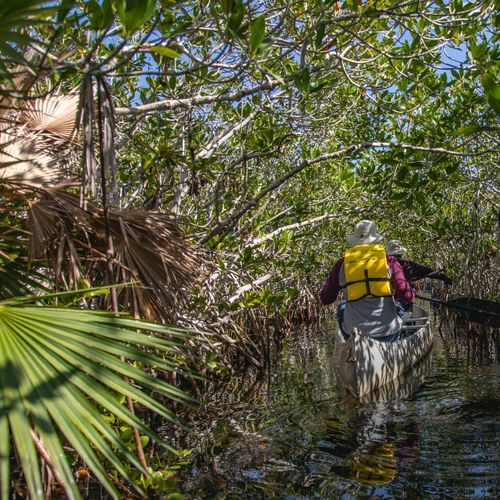 Nine Mile Pond Canoe Trail