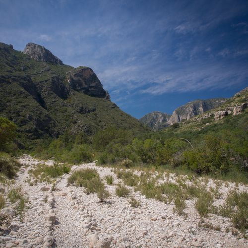 Mckittrick Ridge Trail