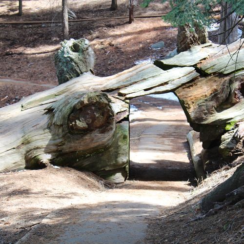 Tunnel Log