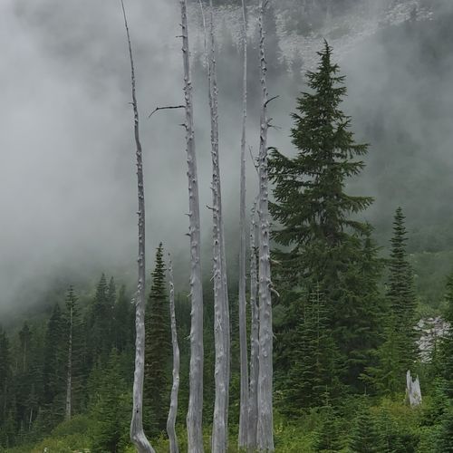 Viewpoint
