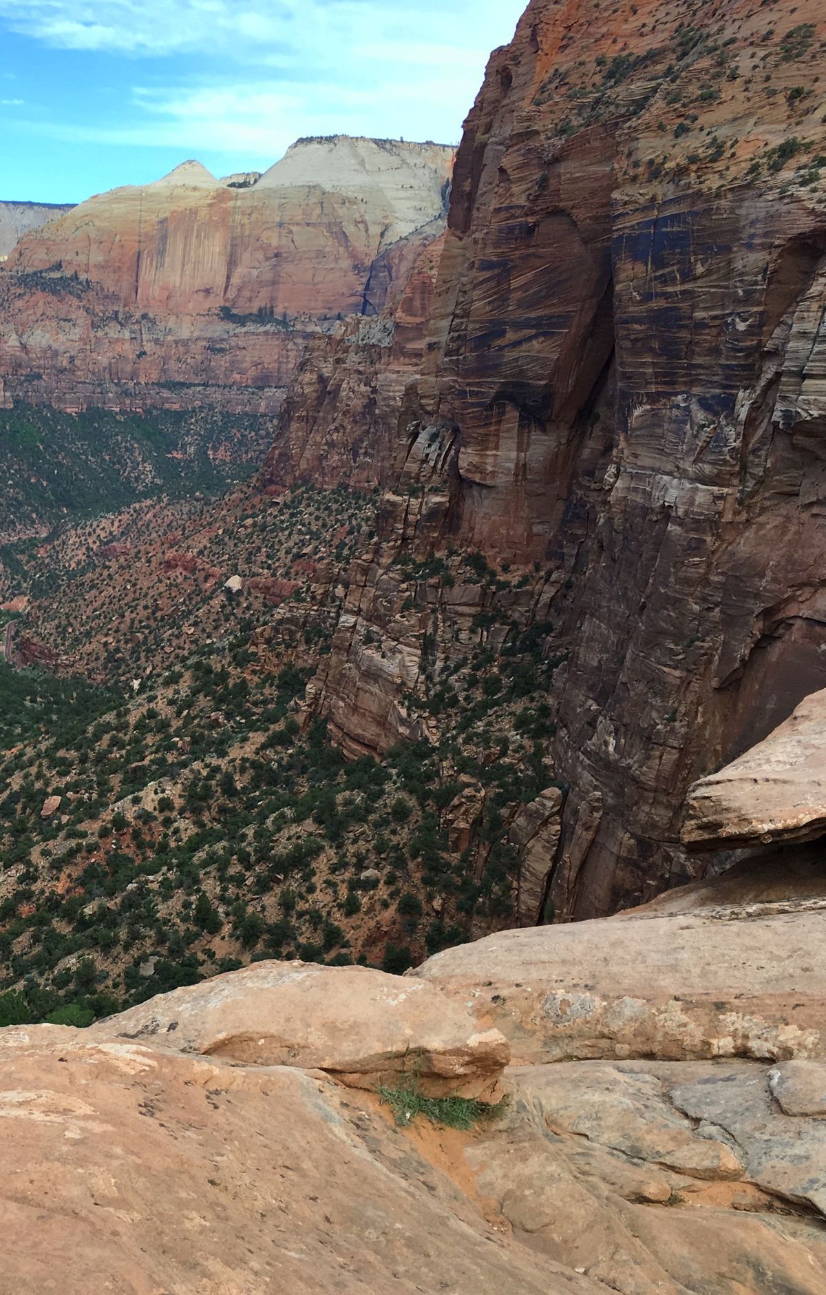 Canyon Overlook Trail, Zion National Park