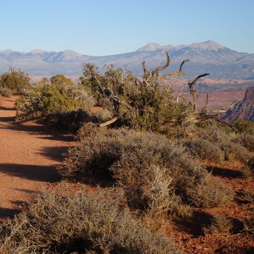 Dead Horse Loop Trail