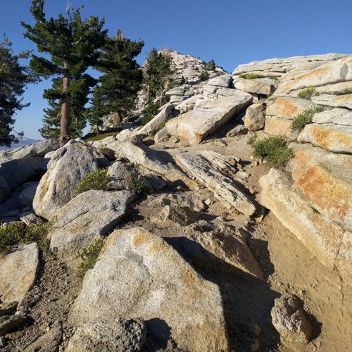 Clouds Rest Trail
