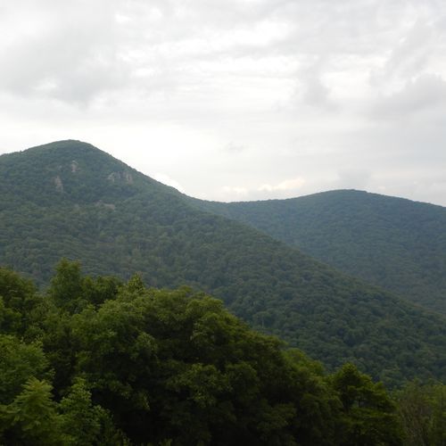 Timber Hollow Overlook
