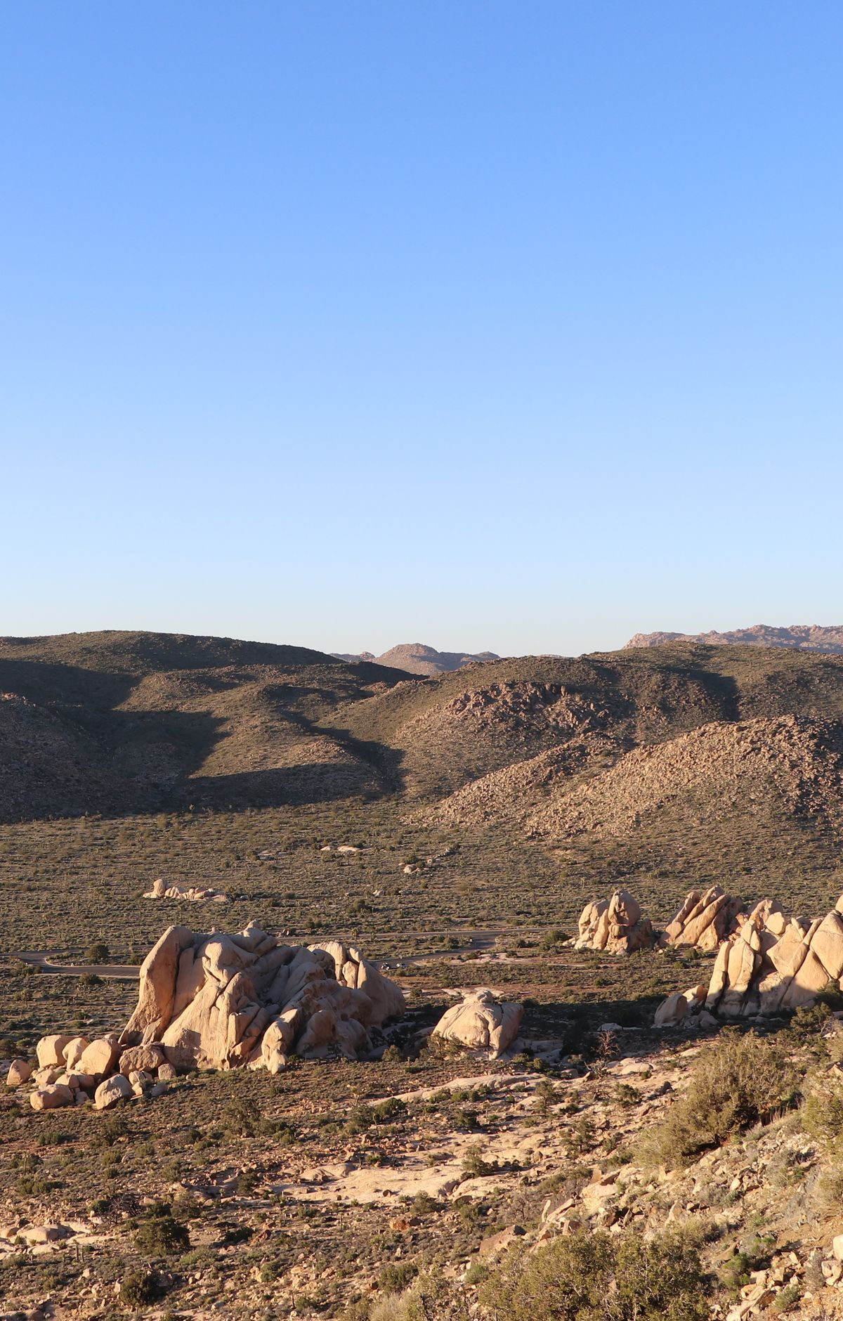 Ryan Mountain Trail, Joshua Tree National Park