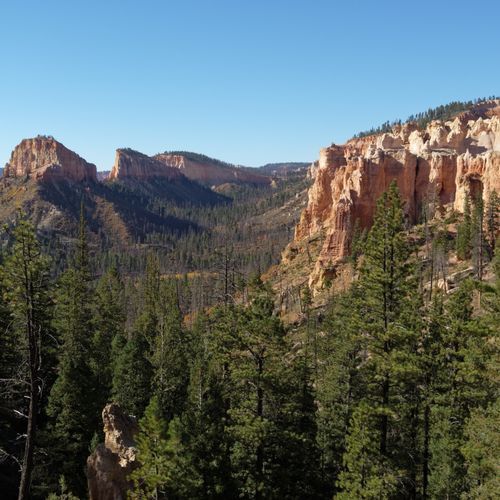Swamp Canyon Loop