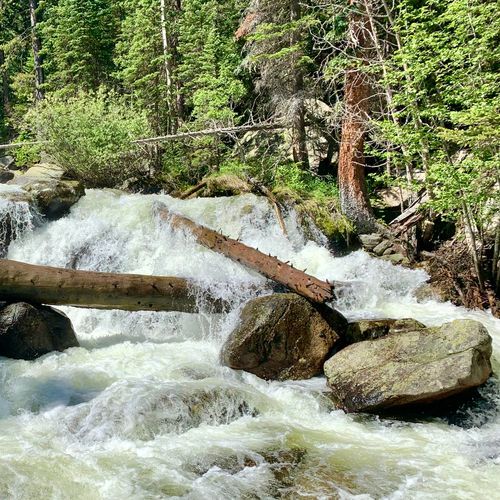 Saint Vrain Mountain Summit Route