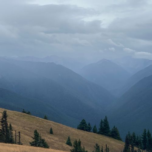 Viewpoint
