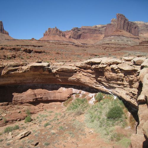 Viewpoint