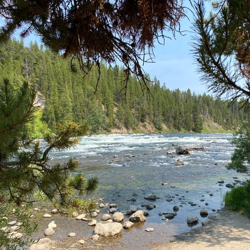 Lehardy rapids