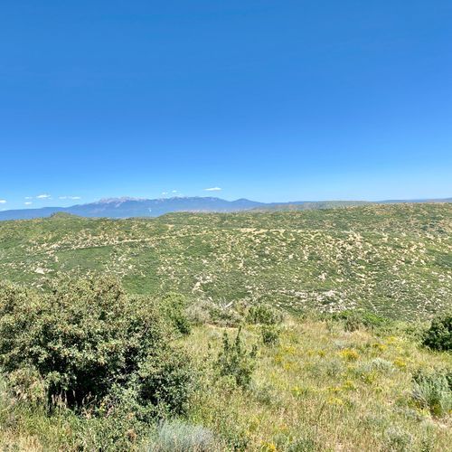 Park Point Overview