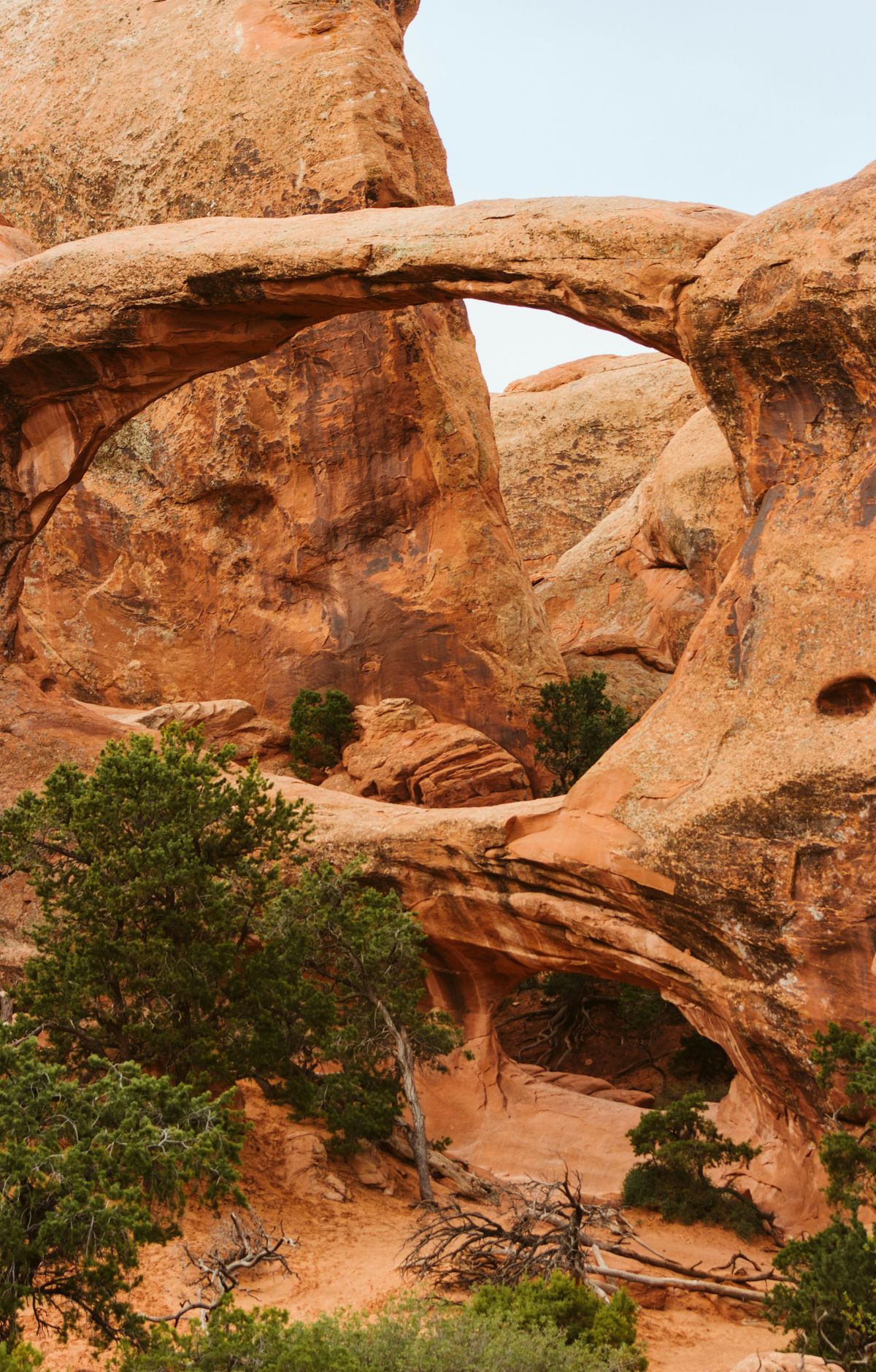 Arches - Gallery thumbnail 3