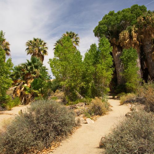 Cottonwood Springs