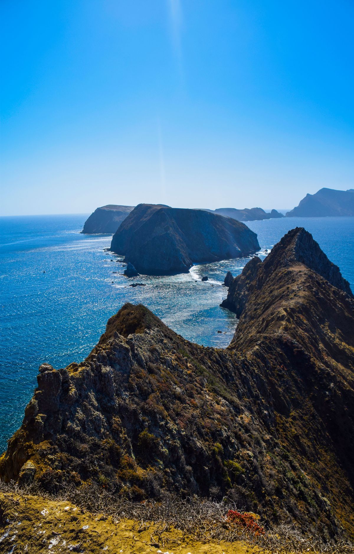 Pygmy Mammoths and Santa Rosa's Lost Giants, Channel Islands National Park