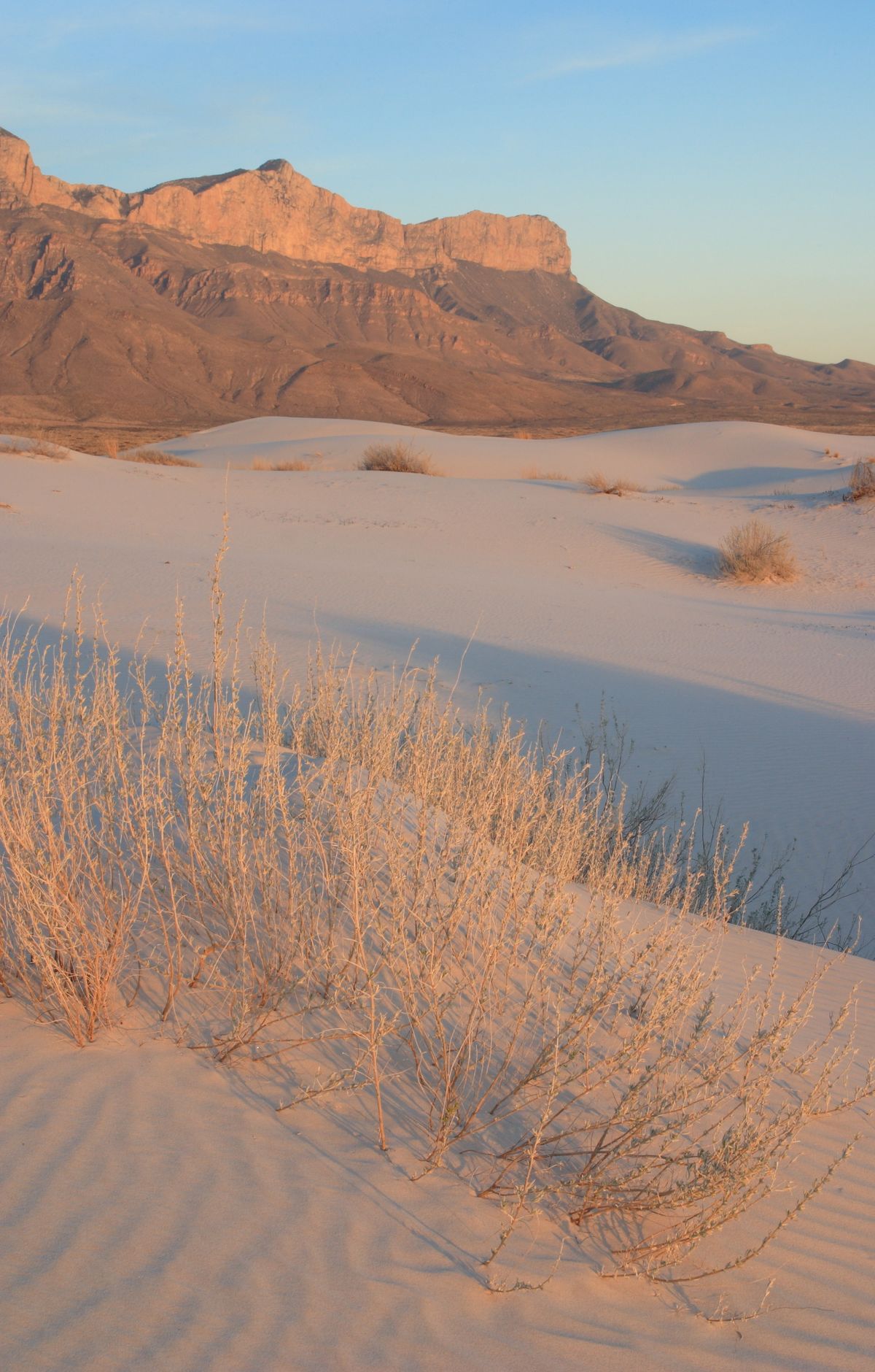 Guadalupe Mountains - Gallery thumbnail 3