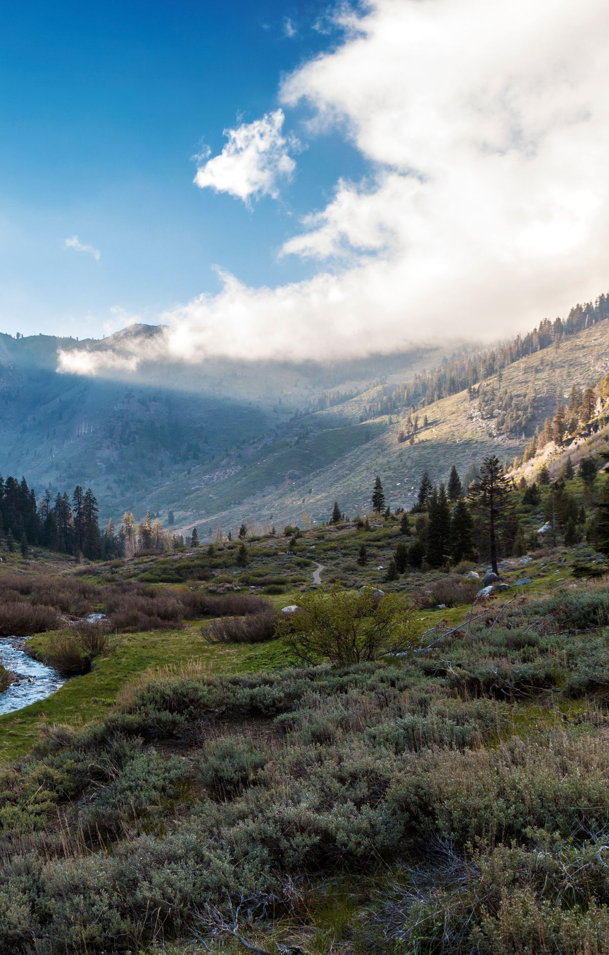 Mineral King's Remote Valley Trails, Sequoia & Kings Canyon National Parks