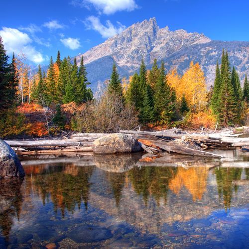 Jenny Lake Loop Trail