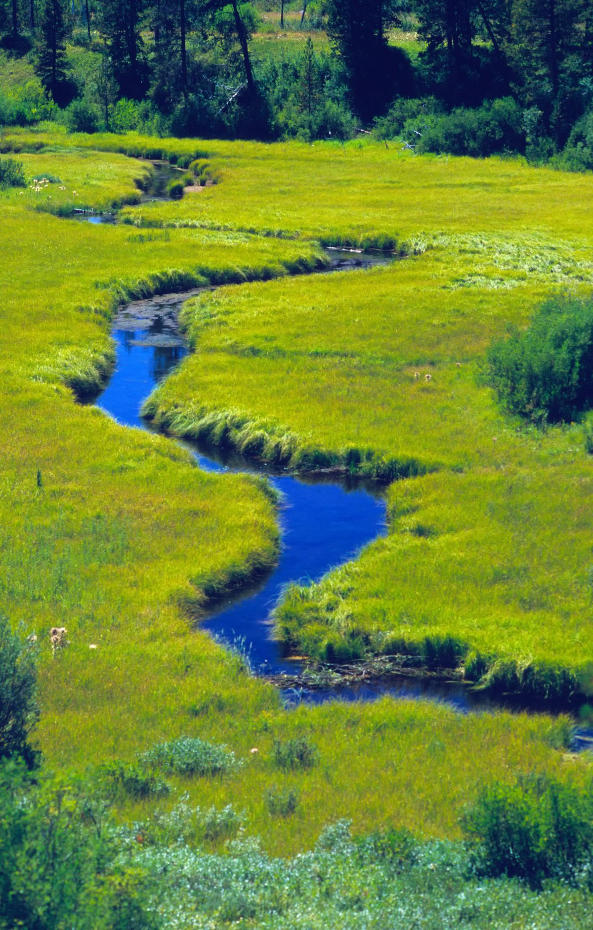 Grand Teton - Gallery thumbnail 8