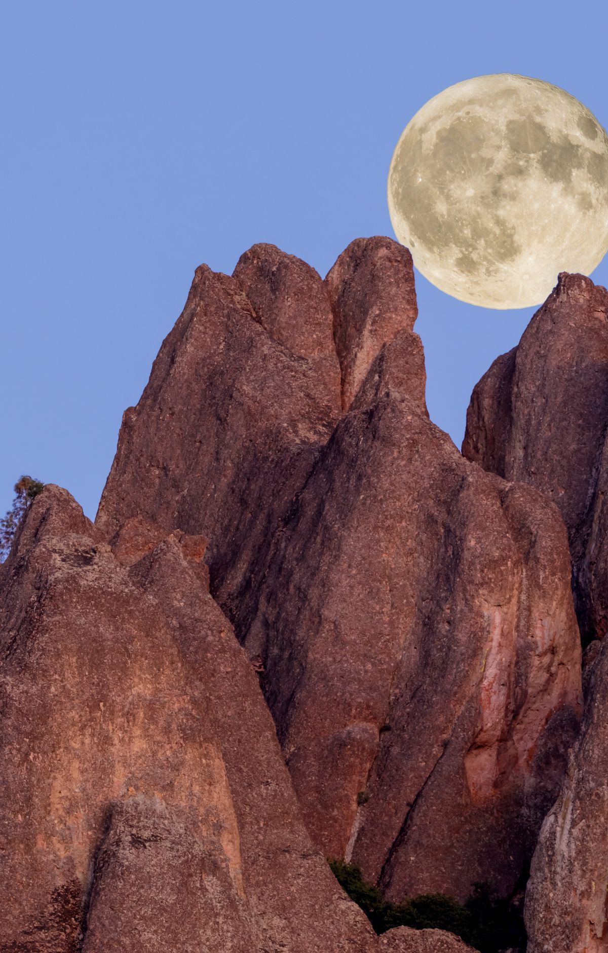 Stargazing at Bacon Ranch and Chaparral, Pinnacles National Park