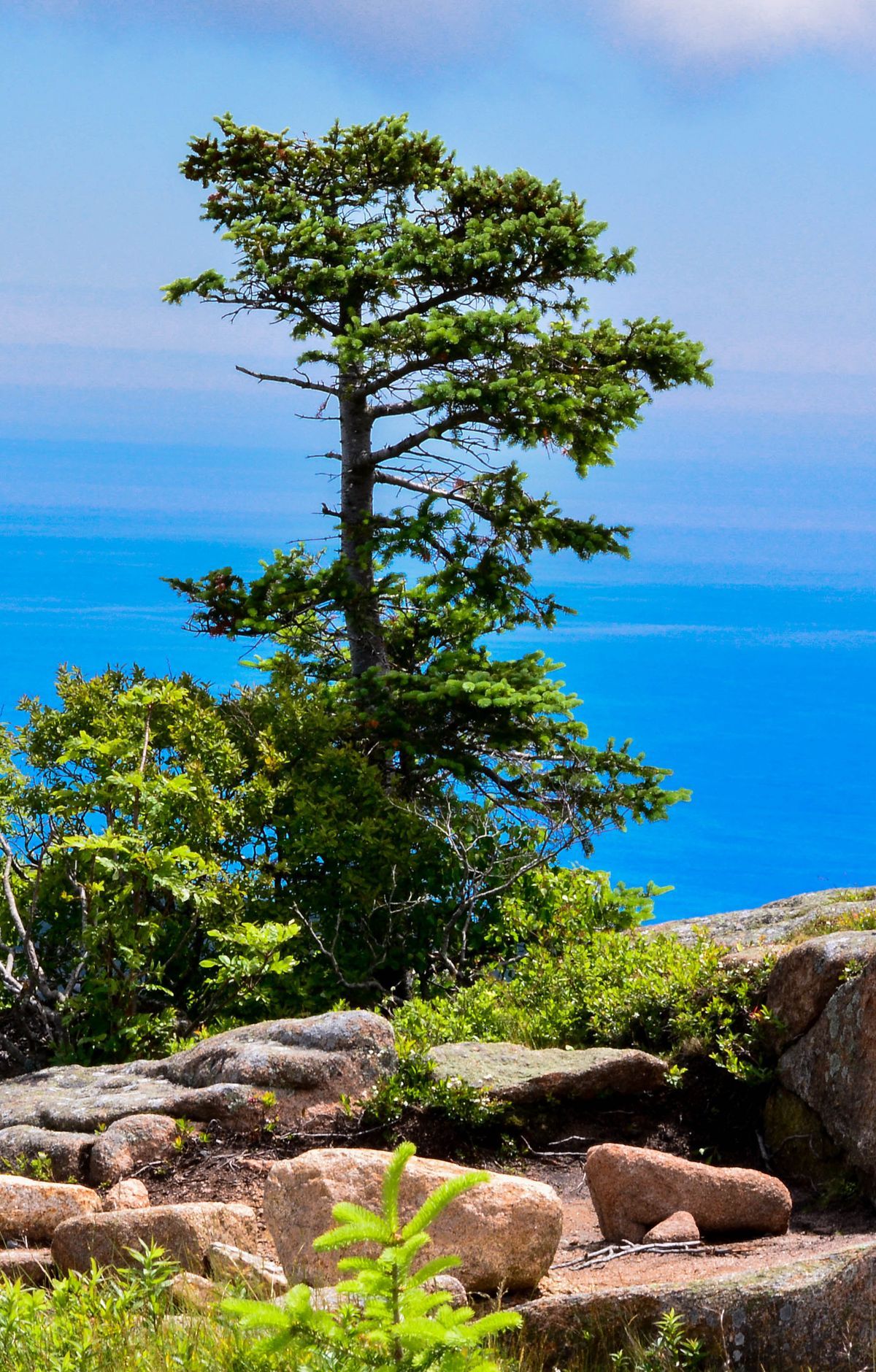 Darkest Skies on the Eastern Seaboard, Acadia National Park