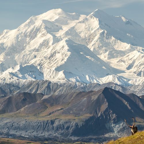 Denali