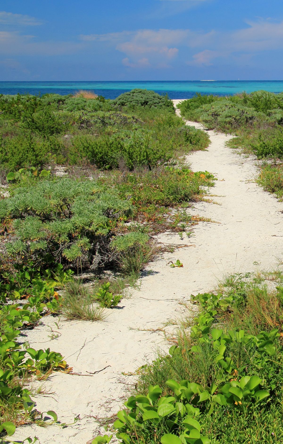 Limestone Islands at the End of the Keys, Dry Tortugas National Park