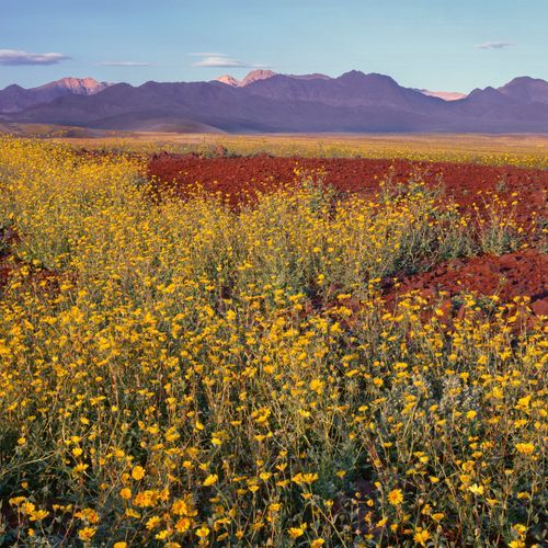 Panamint Springs