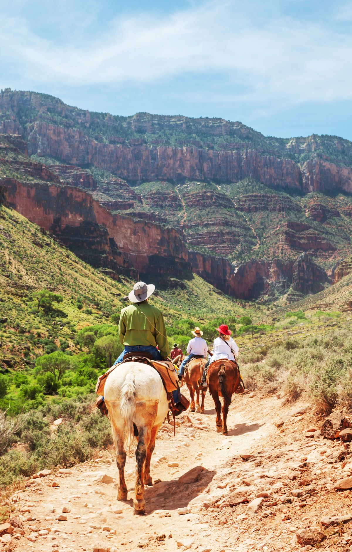 Grand Canyon - Gallery thumbnail 7