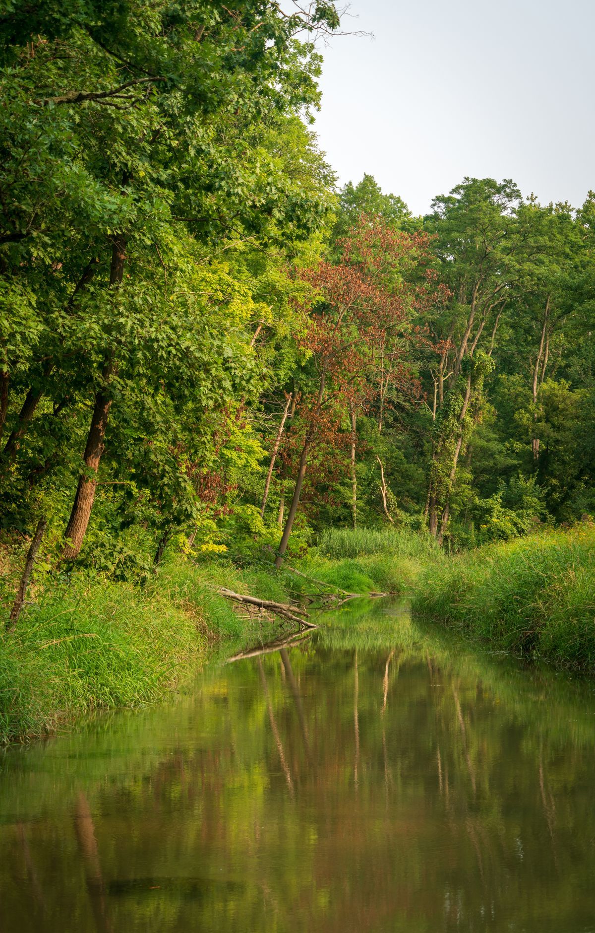 How Activists Created Ohio's Only National Park, Cuyahoga Valley National Park