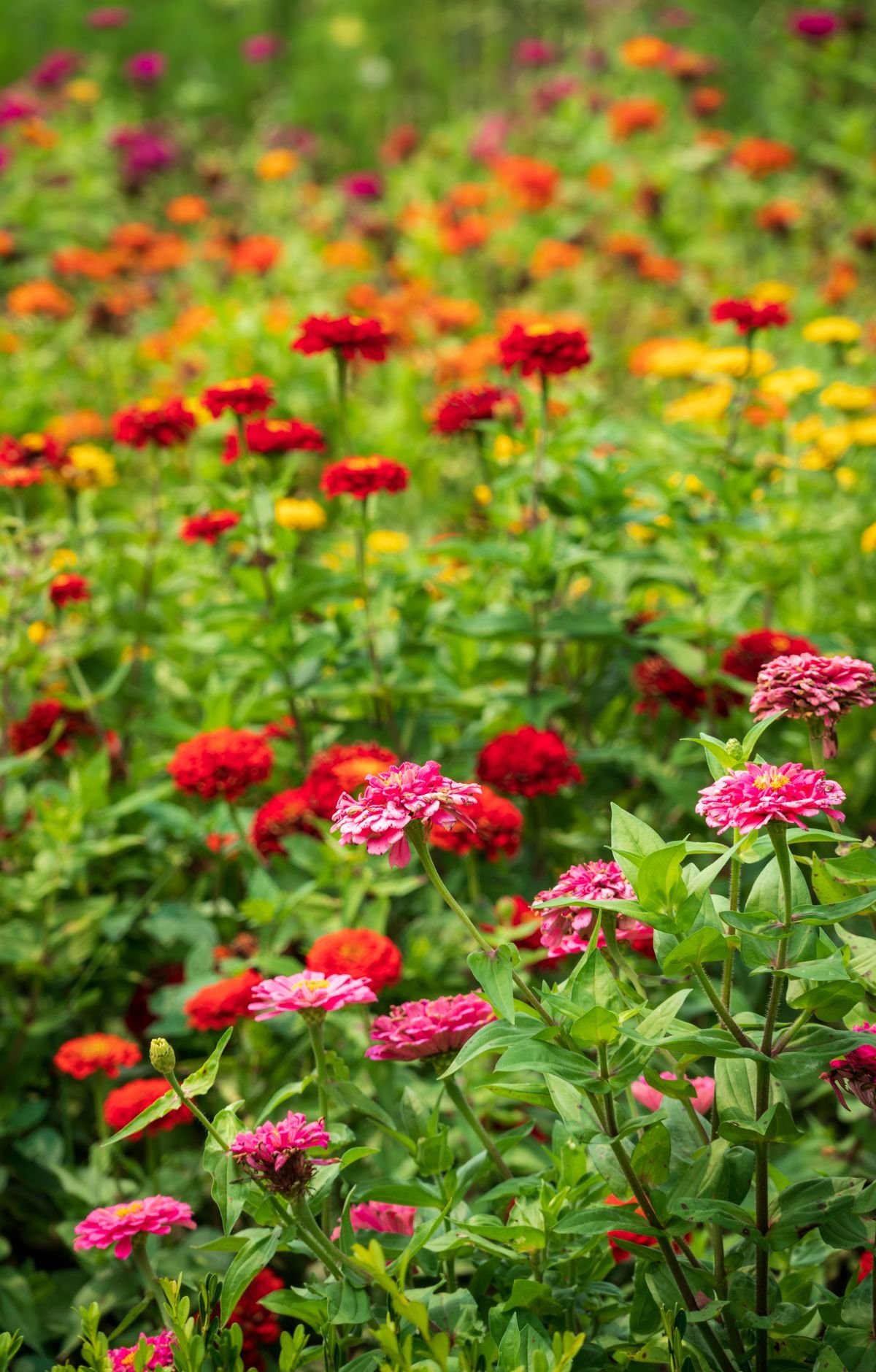 Cuyahoga Valley - Gallery thumbnail 5