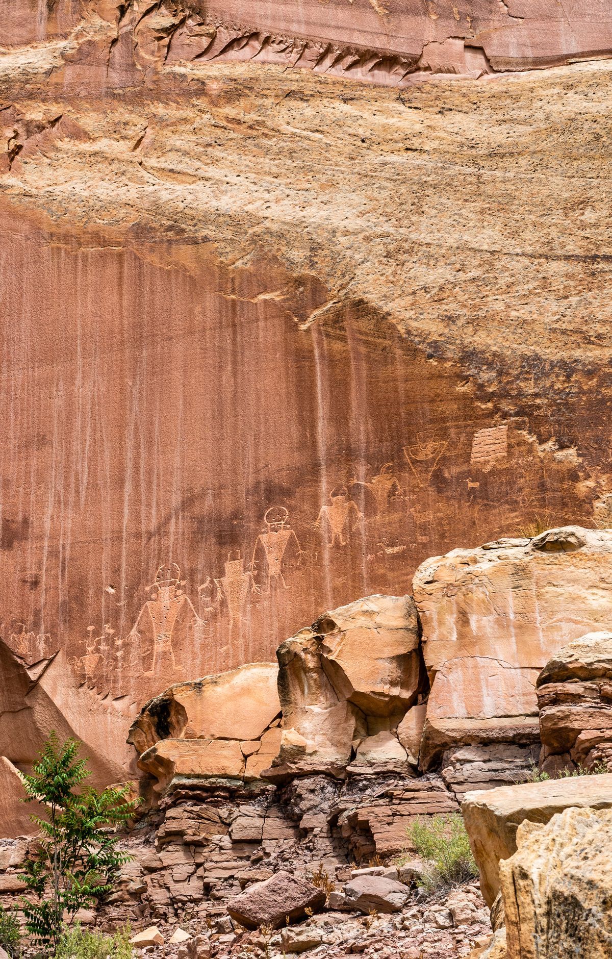 Capitol Reef - Gallery thumbnail 4