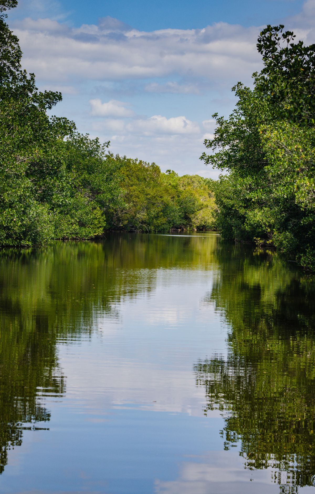 Biscayne - Gallery thumbnail 2