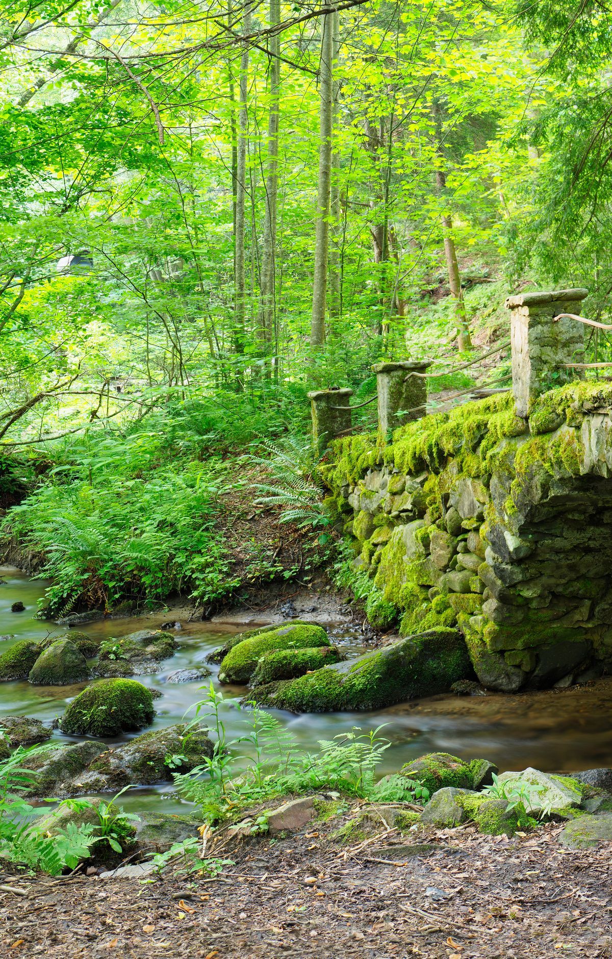 Elkmont: From Logging Town to Resort, Great Smoky Mountains National Park