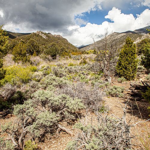 Snake Creek