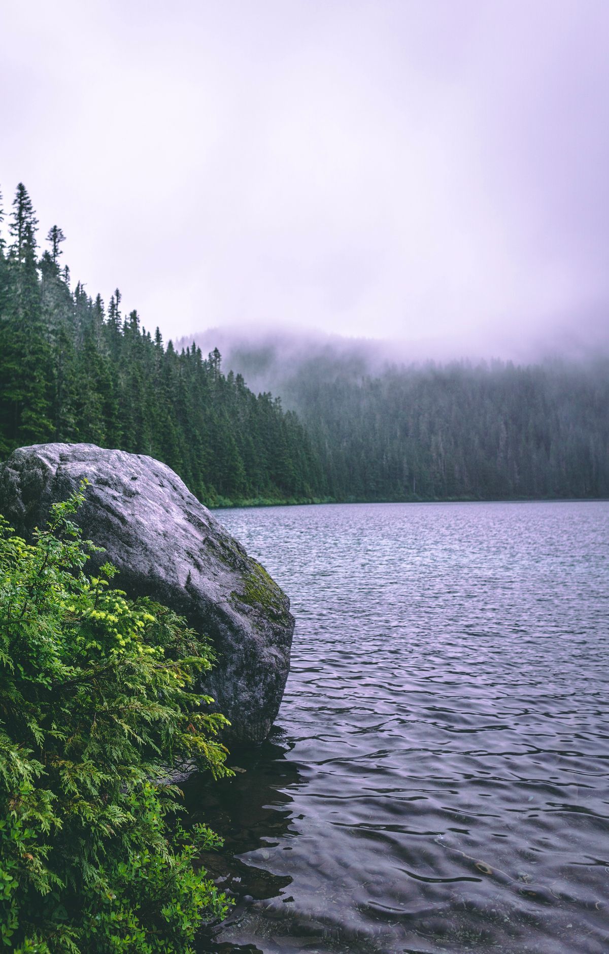 Mount Rainier - Gallery thumbnail 7