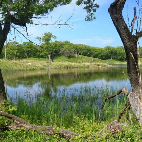 Miller Woods