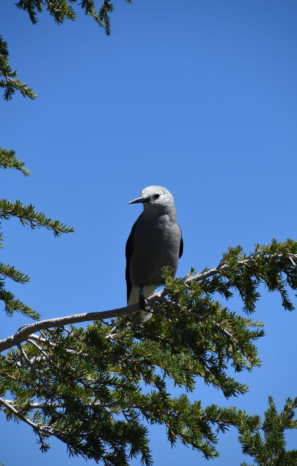 Crater Lake - Gallery thumbnail 7