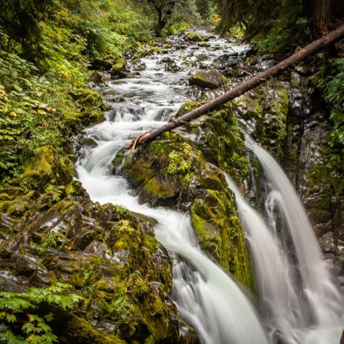 Sol Duc Valley