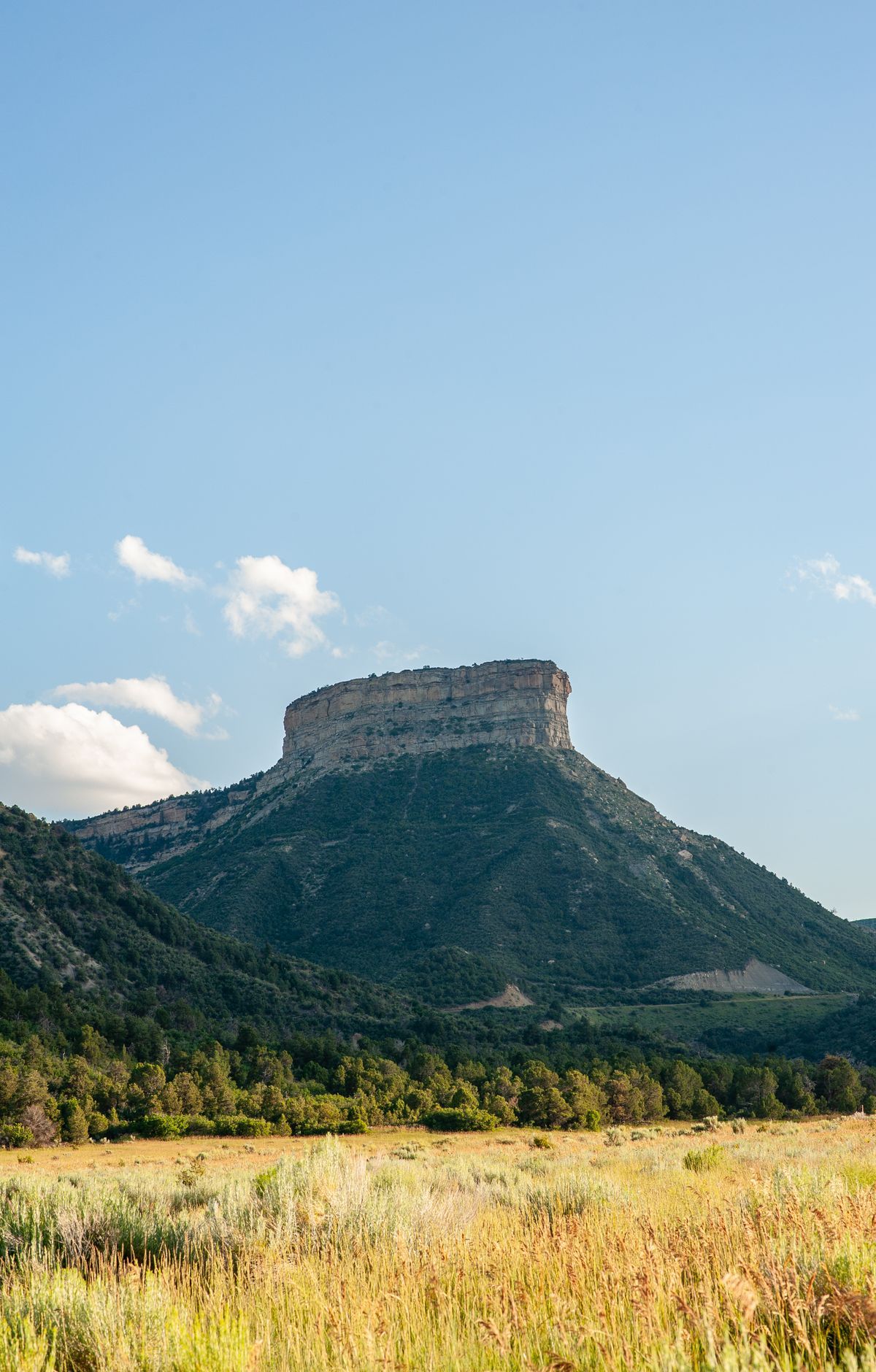 Mesa Verde - Gallery thumbnail 5