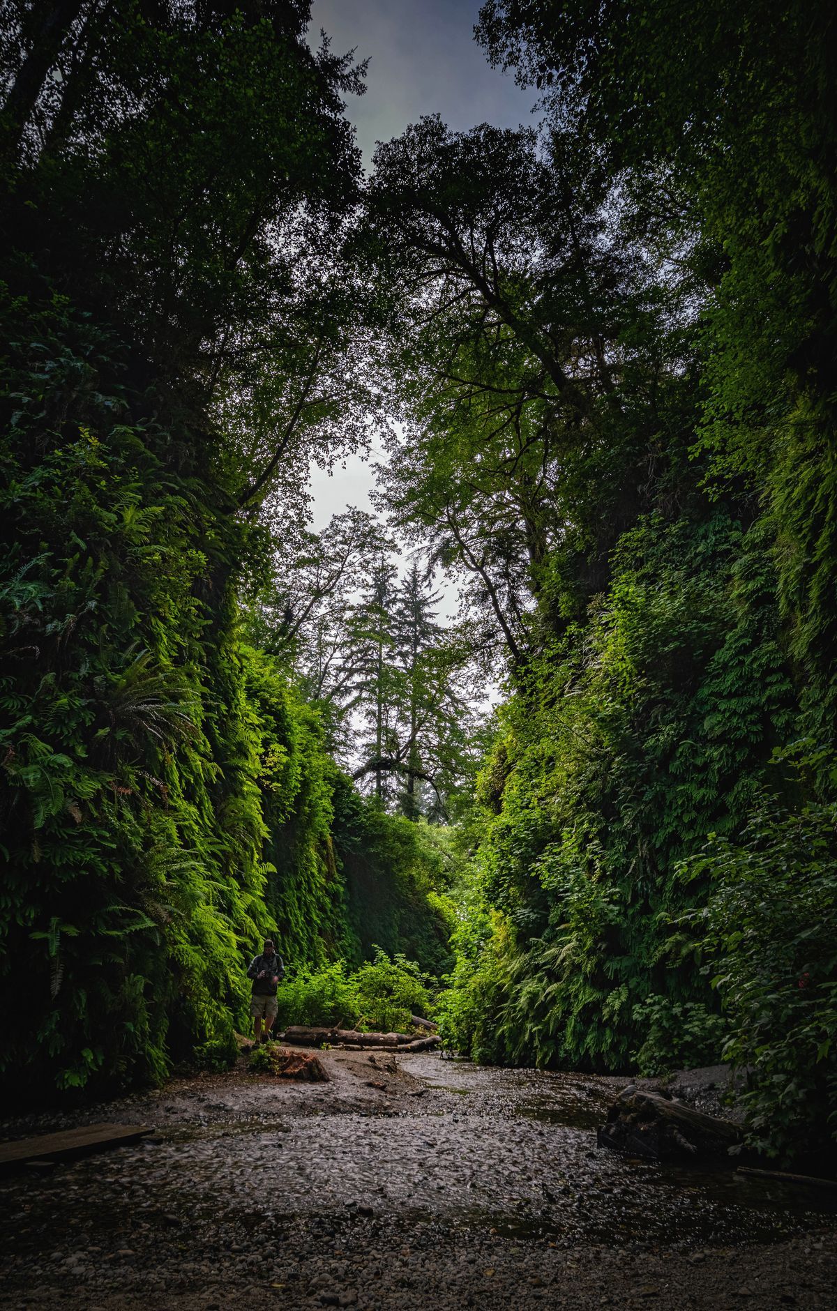 Redwood - Gallery thumbnail 4