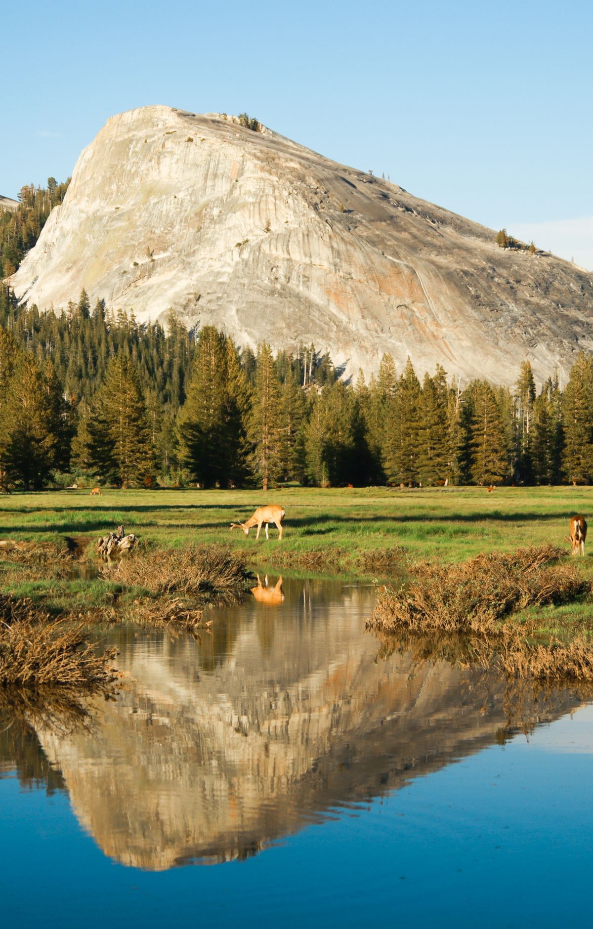 Tuolumne Meadows and High-Country Domes, Yosemite National Park